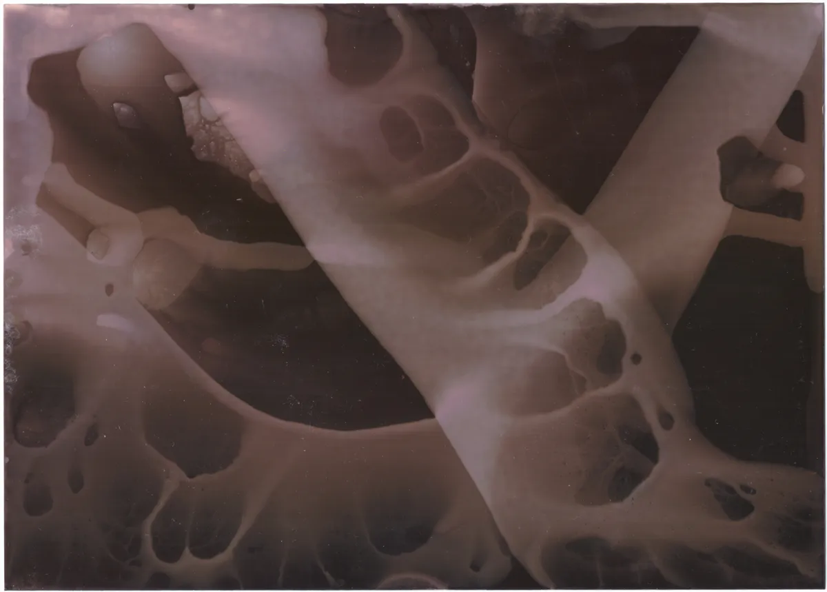Pale web of holes and bubbles across a dark surface