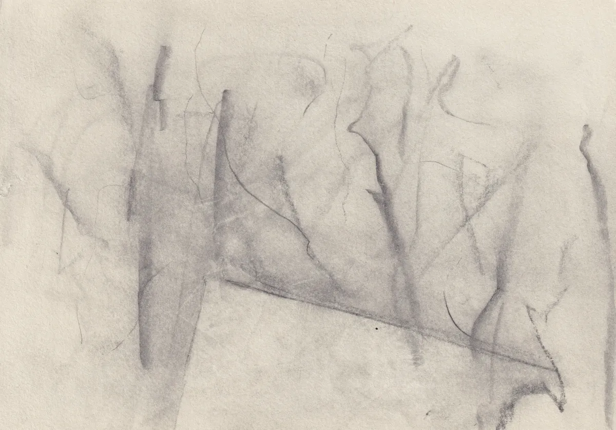 Faint horizontal graphite drawing on cream paper: branching lines around a long sail-like triangle