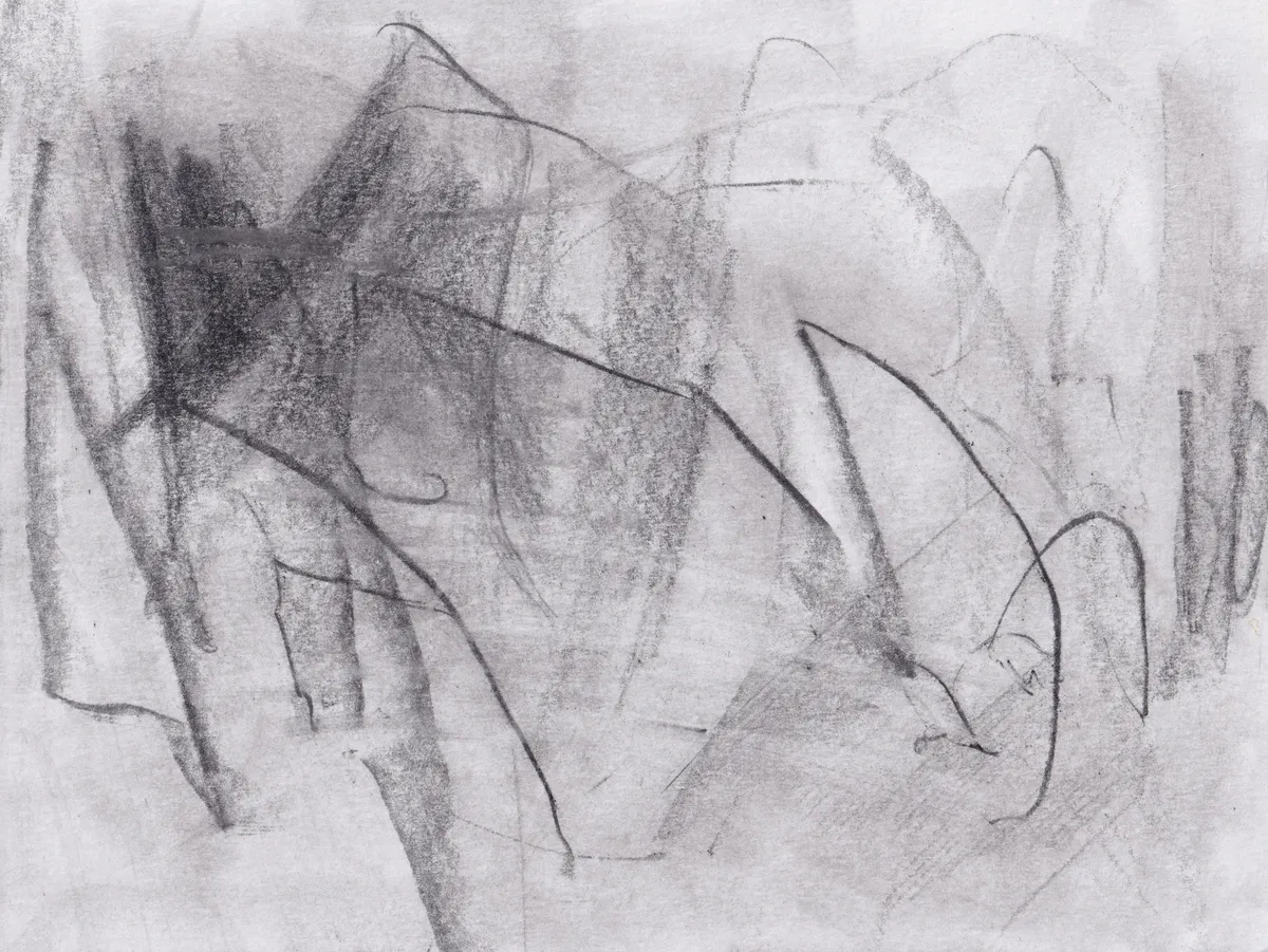 Graphite drawing on white paper: sweeping curved lines and peaks with a dark wedge at upper left